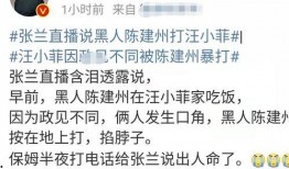 张兰信托爆料人是谁啊视频,揭秘神秘爆料人身份